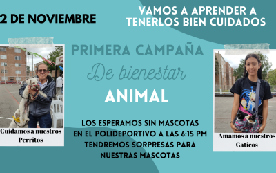 Campaña de bienestar animal 2 Nov