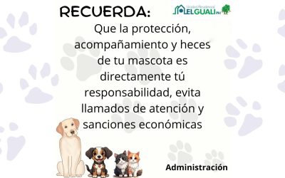 RECUERDA!!!